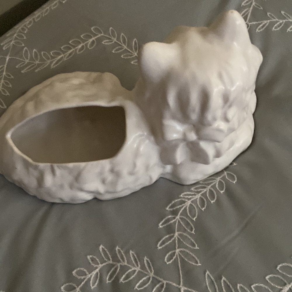 White cat - Picture 3 of 3